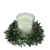 New 6" Clear and Green Boxwood with Berry Tipped Christmas Hurricane Pillar Candle Holder Candle Holders