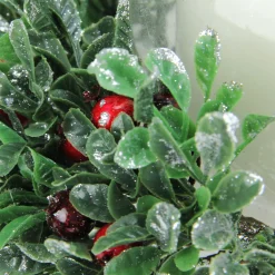 New 6" Clear and Green Boxwood with Berry Tipped Christmas Hurricane Pillar Candle Holder Candle Holders