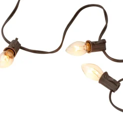 Best 25 Count Clear C7 Christmas Lights, 24ft Brown Wire C7 & C9 Lights
