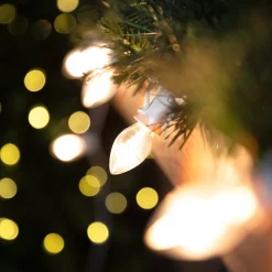Outlet 25 Count Clear C7 Christmas Lights, 24ft White Wire C7 & C9 Lights