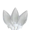 Best 25 Count Pure White LED C9 Christmas Lights, 16 ft White Wire C7 & C9 Lights