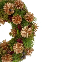 Clearance 12