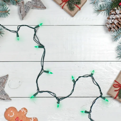Best 100 Green LED Mini Christmas Lights, 33 ft Green Wire Led