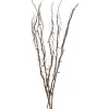 Outlet 39" LED Lighted Natural Branch Bundle Christmas Decoration - Warm White Lights Sprays, Picks & Branches