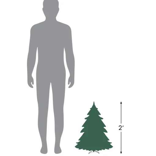 New 2' Pre-Lit Slim Blackwater Fir Artificial Christmas Tree - Clear Lights Pre-Lit