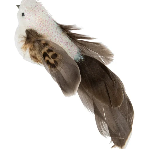 6" White and Brown Bird with Clip and Feathers Christmas Ornament Animals