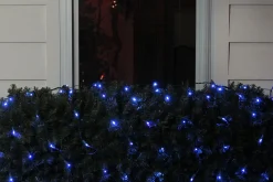 Sale 4' x 6' Blue LED Wide Angle Christmas Net Lights, Green Wire Net Lights