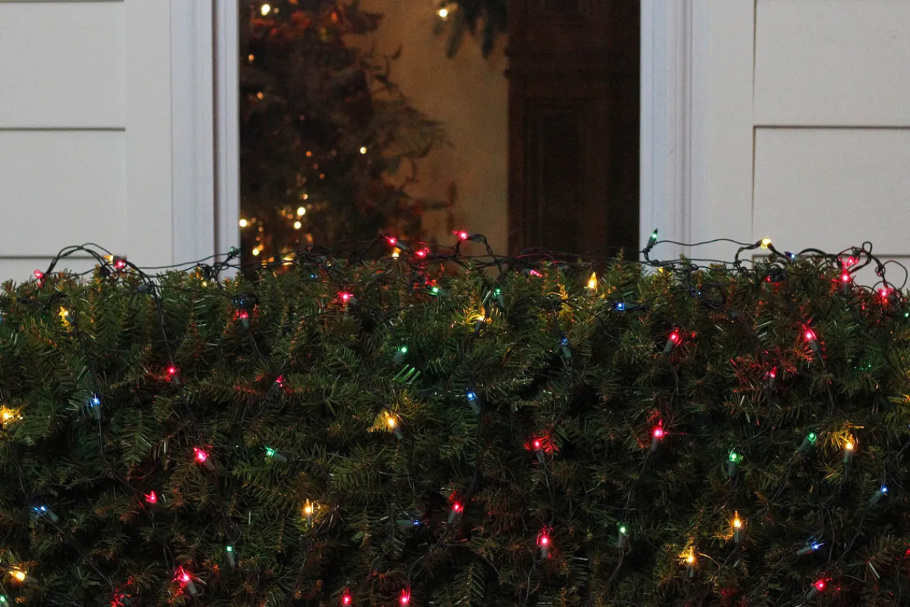 Clearance 4' x 6' Multi-Color Mini Incandescent Net Style Christmas Lights - Green Wire Net Lights