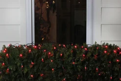 Sale 4' x 6' Red LED Wide Angle Net Style Christmas Lights - Green Wire Net Lights