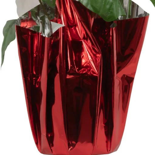 Sale Artificial Christmas Poinsettia with Wrapped Base - 14.5" - White and Red Poinsettias
