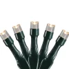 Online Battery Operated LED Christmas Lights - Warm White - 9.5' Green Wire - 20ct Battery Operated