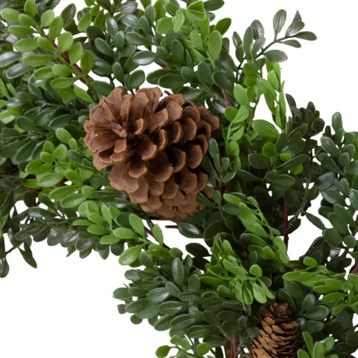 Sale Boxwood and Pine Cone Artificial Christmas Wreath - 27" - Unlit Unlit