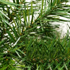 Outlet Cashmere Mixed Pine Commercial Artificial Christmas Garland - 50' x 14" - Unlit Commercial