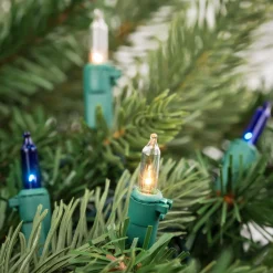 Online 100-Count Blue and Clear Mini Christmas Light Set, 20 ft Green Wire Incandescent