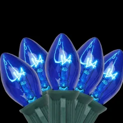 Best 25-Count Blue C7 Christmas Light Set, 24ft Green Wire C7 & C9 Lights