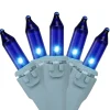 50-Count Blue Mini Christmas Lights Set - 17ft Blue Wire Incandescent