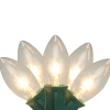 Hot 25-Count Clear Transparent C9 Christmas String Light Set, 24ft Green Wire C7 & C9 Lights