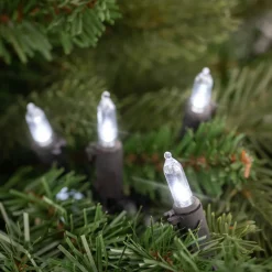 Outlet 100-Count Pure White LED Mini Christmas Lights, 33 ft, Black Wire Led