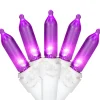 Online 50-Count Purple LED Mini Christmas Lights, 16.25 ft White Wire Led