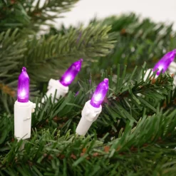 Online 50-Count Purple LED Mini Christmas Lights, 16.25 ft White Wire Led