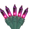 Sale 35-Count Purple Mini Christmas Lights, 7ft Green Wire Incandescent
