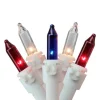 150-Count Red and Blue Chasing Mini Christmas Light Set, 34ft White Wire Incandescent
