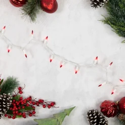 Online 35-Count Red Mini Christmas Light Set, 7ft White Wire Incandescent