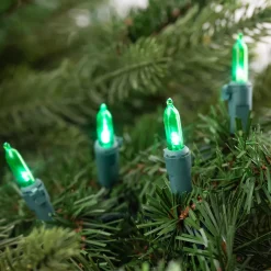 Online 50ct Green LED Mini Christmas Lights, 16.25ft Green Wire Led
