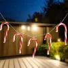 Outlet 7ct Red and White Candy Cane Christmas Lights - 4.5ft Clear Wire Battery Operated