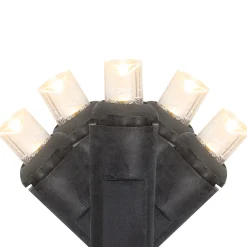 Best 50ct Warm White LED Wide Angle Christmas Lights - 16.25ft, Black Wire Led