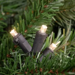 Best 50ct Warm White LED Wide Angle Christmas Lights - 16.25ft, Black Wire Led