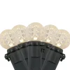 Best LED G12 Berry Christmas Lights - Warm White - 16' Black Wire - 50 ct Globes