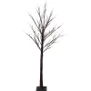 Outlet LED Lighted Birch Twig Tree Outdoor Christmas Decoration - 6' - Warm White Lights Trees