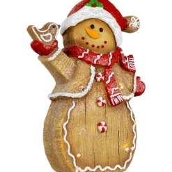 Best LED Lighted Gingerbread Snowman with Bird Christmas Figure - 15