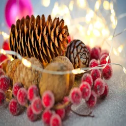 Clearance LED Multi-Function Curtain Christmas Lights - 4' x 8' - Warm White Lights Fairys