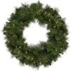 Hot Mixed Beaver Pine Artificial Christmas Wreath, 24-Inch, Clear Lights Pre Lit