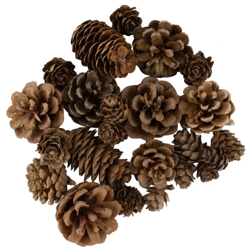 Online Ornament, Berries and Pinecones Christmas Decorations - 6" People