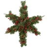 Hot Pre-Lit Battery Operated Mixed Pine and Berries Christmas Snowflake Wreath - 32" - Warm White LED Lights Pre Decorated