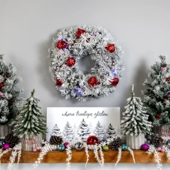 Clearance Pre-Lit Battery Operated Snowy Bristle Pine Christmas Wreath - 24