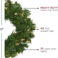 Best Pre-Lit Deluxe Windsor Pine Artificial Christmas Wreath - 12-Inch, Clear Lights Pre Lit