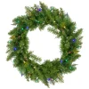 Outlet Pre-Lit Northern Pine Artificial Christmas Wreath - 24" - Multicolor LED Lights Pre Lit