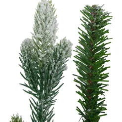 Discount Real Touch™? Flocked Snowcap Grove Fir Artificial Christmas Wreath - 24