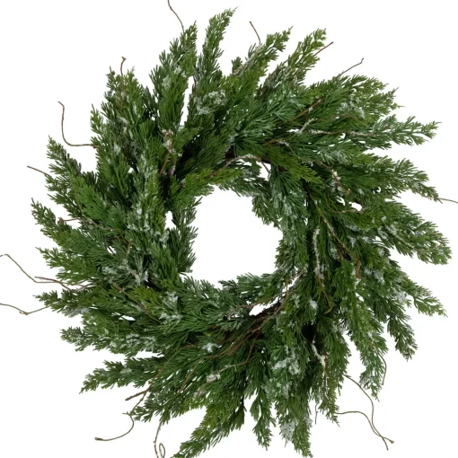 Clearance Real Touch™? Iced Cedar Artificial Christmas Wreath - 24" - Unlit Unlit