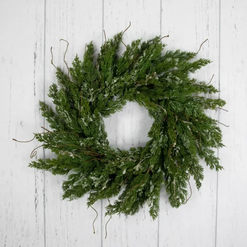 Clearance Real Touch™? Iced Cedar Artificial Christmas Wreath - 24" - Unlit Unlit