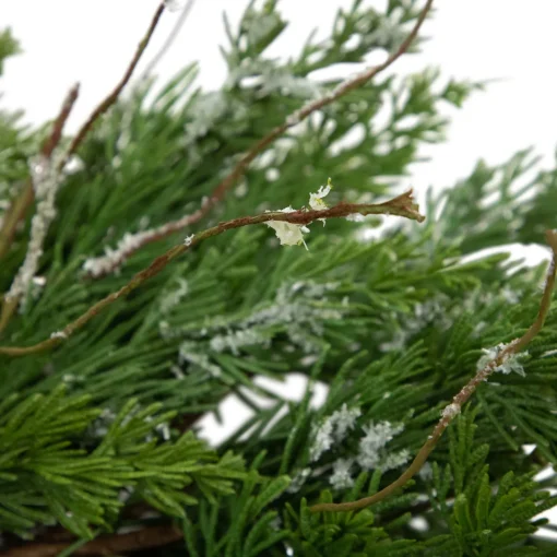 Clearance Real Touch™? Iced Cedar Artificial Christmas Wreath - 24" - Unlit Unlit