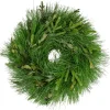 Real Touch™? Pine Sprigs and Winter Foliage Artificial Christmas Wreath - 12" - Unlit Unlit