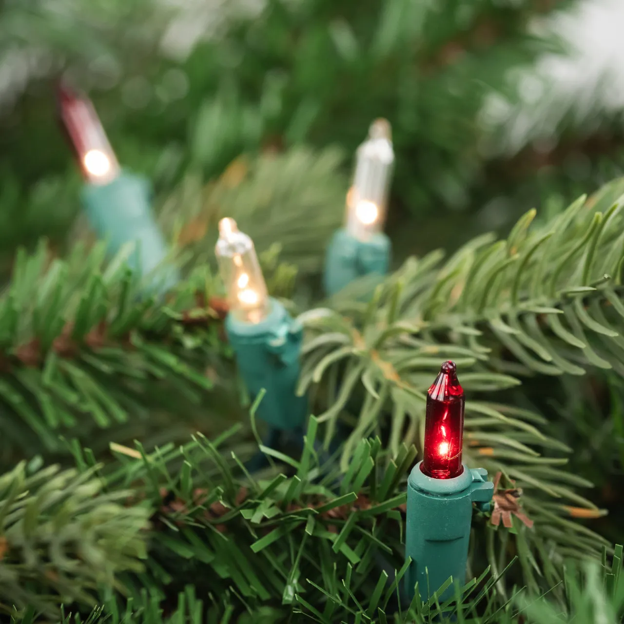 Sale Set of 50 Red and Clear Mini Christmas Lights, 2.5" Spacing - Green Wire Incandescent