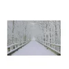 Online Small Fiber Optic Lighted Winter Wooden Bridge Canvas Wall Art 12" x 15.75" Door