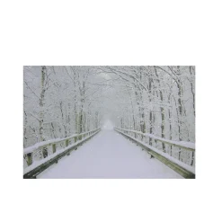 Online Small Fiber Optic Lighted Winter Wooden Bridge Canvas Wall Art 12" x 15.75" Door