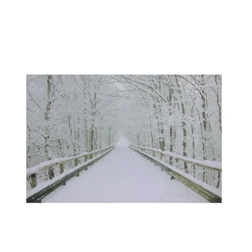 Online Small Fiber Optic Lighted Winter Wooden Bridge Canvas Wall Art 12" x 15.75" Door